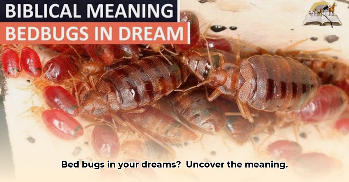 bed-bugs-dream-meaning